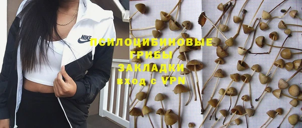 тгк Алексеевка