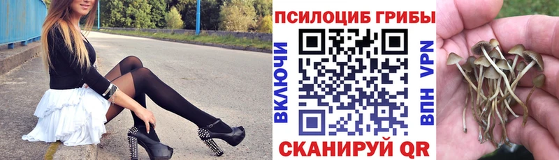Галлюциногенные грибы мицелий  сколько стоит  Похвистнево 