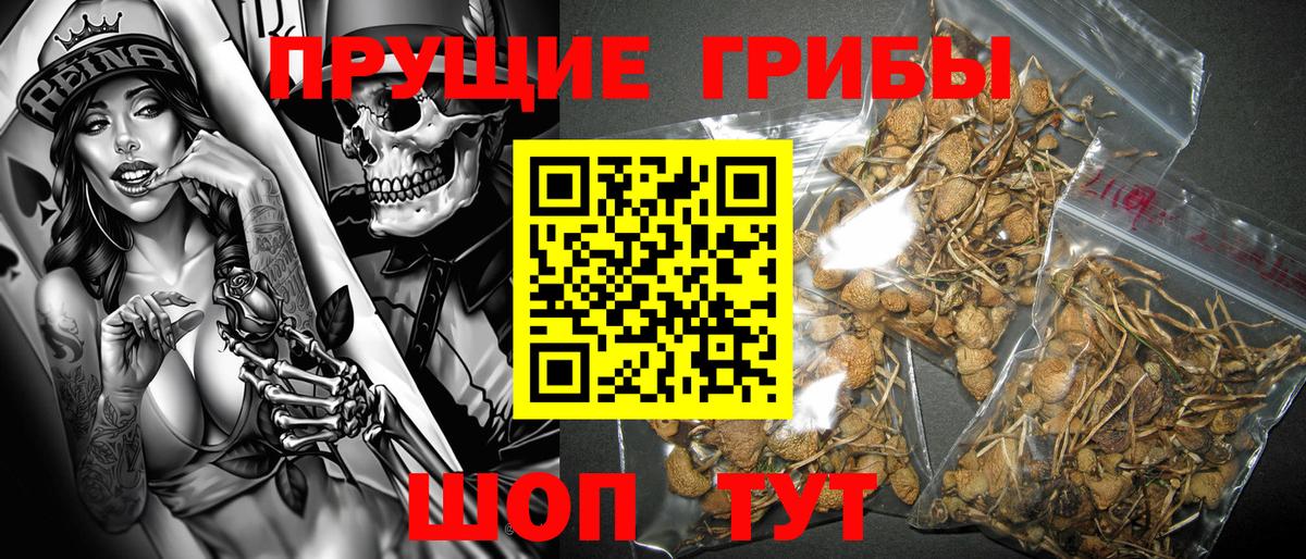 Псилоцибиновые грибы мицелий Похвистнево